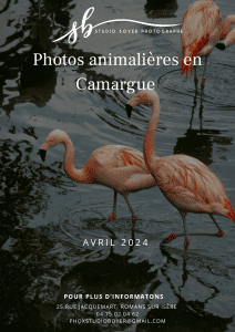 Formations photo - Photographe Professionnel à Romans-Sur-Isère