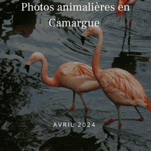 Formations photo - Photographe Professionnel à Romans-Sur-Isère