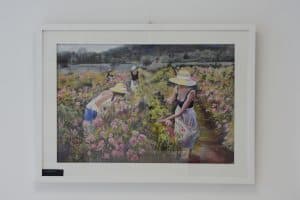 Expositions - Photographe Professionnel à Romans-Sur-Isère